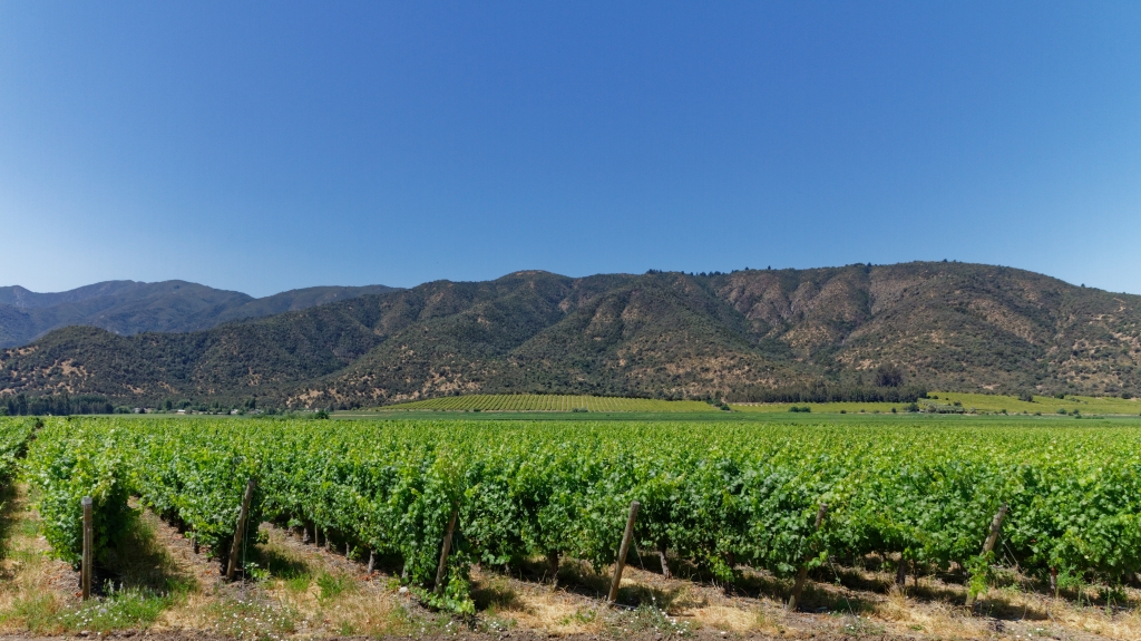 03 - La Serena (32).jpg